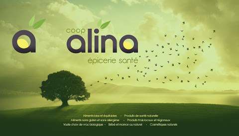 Coop Alina, Grocery Health