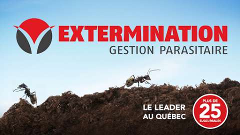 V Extermination Bas-Saint-Laurent - Gestion Parasitaire
